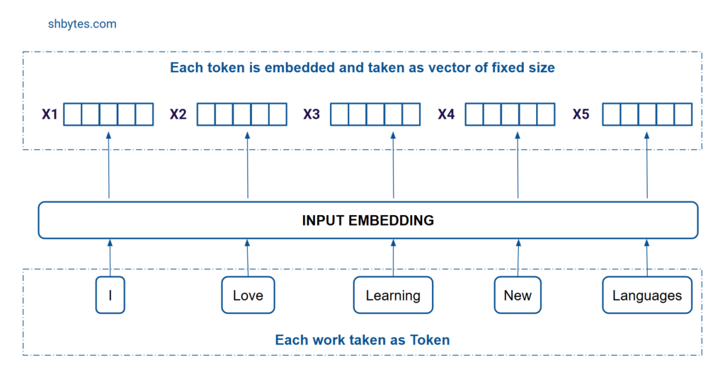 Working of Encoder - Input Embedding